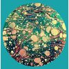 The Horrors: Higher (Limited Edition Box-Set) (4 LP + 2 CD + DVD), 4 LPs