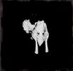 Sigur Ros: Kveikur (LP + CD), LP