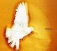 Libera: Libera, CD
