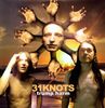 31 Knots: Trump Harm, LP