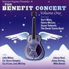 Warren Haynes  (Allman Brothers & Gov't Mule): Benefit Concert Vol.1: Live In Asheville, North Carolina, 2 CDs