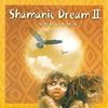 Anugama - Shamanic Dream Vol.2, CD
