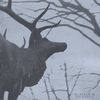 Agalloch: Mantle, CD