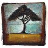 Zoon Van Snook: (Falling From) The Nutty Tree, CD