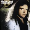 Meat Loaf: Blind Before I Stop, CD