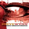 Steve Wynn  (Dream Syndicate): Crossing Dragon Bridge, CD