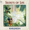 Karunesh  (Bruno Reuter): Secrets Of Life, CD