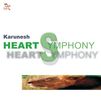 Karunesh  (Bruno Reuter): Heart Symphony, CD
