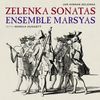 Jan Dismas Zelenka (1679-1745): Triosonaten Nr.3,5,6, SACD
