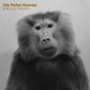 Nils Petter Molvaer  (geb. 1960): Baboon Moon, CD