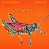 Michael Gordon: Trance, CD