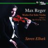 Max Reger (1873-1916): Werke für Violine solo, 2 CDs