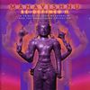 Mahavishnu Re-Defined Vol. 2: A Tribute To John McLaughlin.., 2 CDs