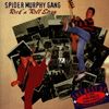 Spider Murphy Gang: Rock'n'Roll Story - 20th Anniversary Concert, 2 CDs