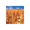 Telepopmusik: Genetic World, CD