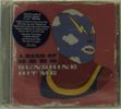 Band Of Bees: Sunshine Hit Me, CD