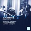 Johannes Brahms (1833-1897): Klaviertrios Nr.1-3, 2 CDs