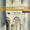 Johann Sebastian Bach (1685-1750): Kantaten BWV 39,73,93,105,107,131, 2 CDs