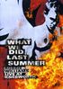 Robbie Williams: What We Did Last Summer - Live At Knebworth 2003, 2 DVDs