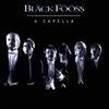 Bläck Fööss: A Capella, CD