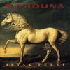 Bryan Ferry: Mamouna, CD