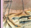 Brian Eno  (geb. 1948): Ambient 4: On Land, CD