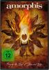 Amorphis: Forging The Land Of Thousand Lakes, 2 Blu-ray Discs