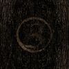 3 Inches Of Blood: Here Waits Thy Doom (CD + DVD), CD