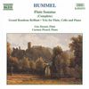 Johann Nepomuk Hummel (1778-1837): Flötentrio op. 78, CD
