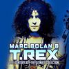 Marc Bolan & T. Rex: 20th Century Boy:Ultimate Collection, CD