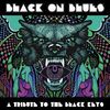 Various Artists: Black On Blues - Tribute To The Black Keys, LP