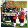 Wildecker Herzbuben: Die Sonne scheint auf alle gleich, CD