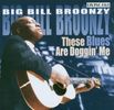 Big Bill Broonzy: These Blues Are Doggin' Me, CD