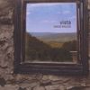 David Wilcox  (Folk): Vista, CD