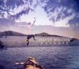 David Wilcox: Reverie, CD