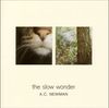 A. C. Newman: The Slow Wonder, CD