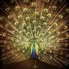 Ani Difranco: Which Side Are You On ?, CD