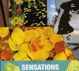 Sensations: Listen To My Shapes, CD