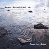Mitchell Burgess & Seal: Downriver Some, CD