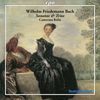 Wilhelm Friedemann Bach (1710-1784): Sonaten f.2 Flöten & Bc F.47-49, CD