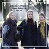 Johannes Brahms (1833-1897): Sämtliche Klaviertrios, 2 CDs