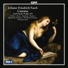 Johann Friedrich Fasch (1688-1758): Kantaten, CD
