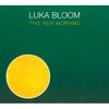Luka Bloom: This New Morning, CD