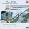 Max Reger (1873-1916): Orchesterwerke, 7 CDs