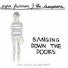Ezra Furman & The Harpo: Banging Down The Doors, CD