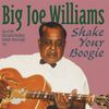 Big Joe Williams: Shake Your Boogie, CD
