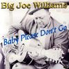Big Joe Williams: Baby Please Don't Go, CD