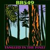BR 549: Tangled In The Pines, CD