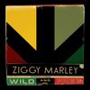Ziggy Marley: Wild And Free, CD