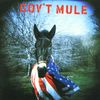 Gov't Mule: Gov't Mule, CD